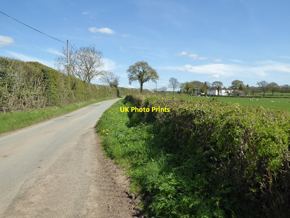 Photo 6"x4" Country road Marston Stannett c2017