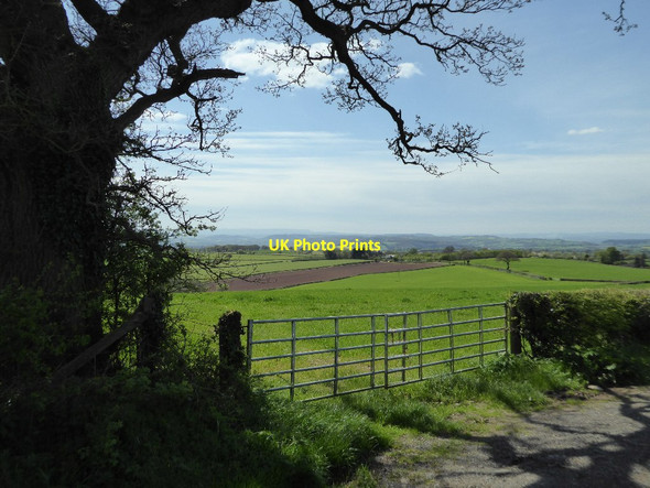 Photo 6"x4" View from Hegdon Hill Grendon Bishop c2017