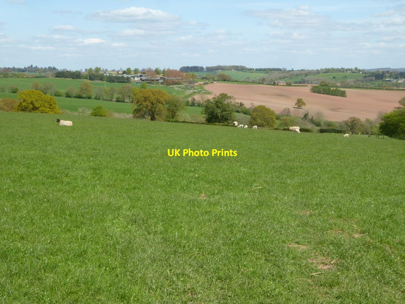 Photo 6"x4" Farmland near Pencombe Pencombe c2017