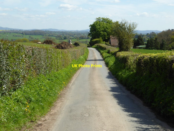 Photo 6"x4" Road into Pencombe Pencombe c2017