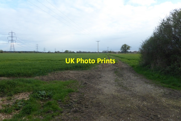 Photo 6"x4" Farmland off Carr Lane Newton upon Derwent c2017