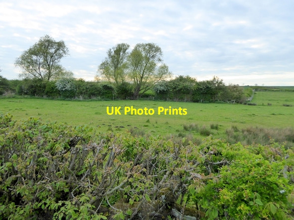 Photo 6"x4" Field and hedgerows Pickworth\/TF0433 c2017