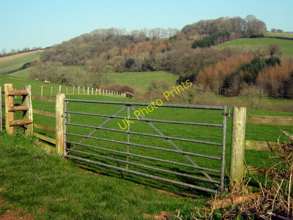 Photo 6"x4" Field entrance above Kingston St Mary Kingston St Mary c2009