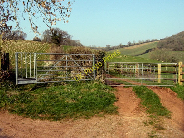 Photo 6"x4" Gates on the hill above Kingston St Mary Kingston St Mary c2009