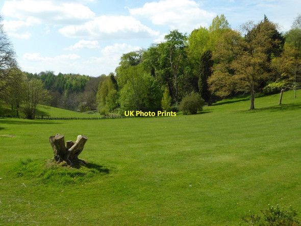Photo 6"x4" Parkland at Tortworth Court Leyhill c2017