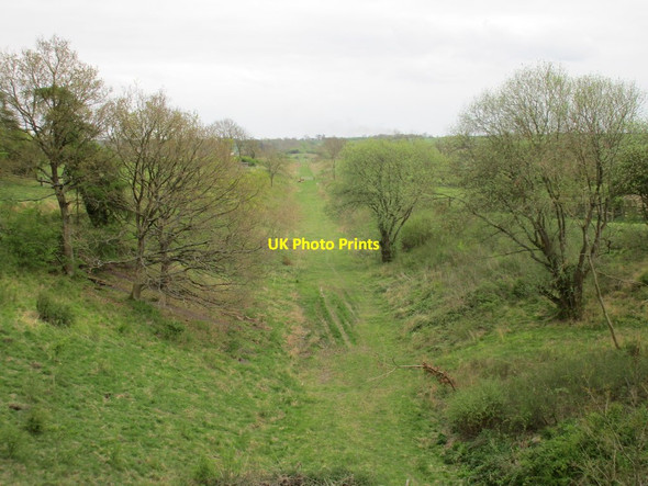 Photo 6"x4" The route of the Great Central Railway near Helmdon Helmdon c2017