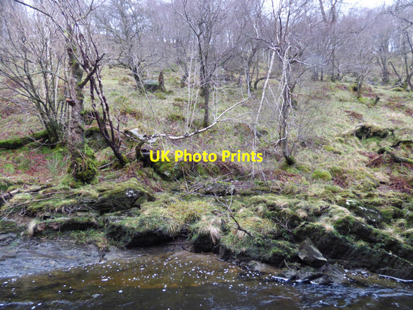 Photo 6"x4" Douglas Water Inverbeg c2015