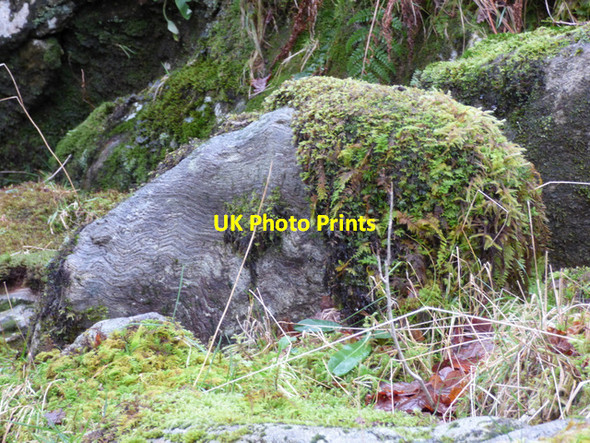 Photo 6"x4" Rock in Glen Douglas Inverbeg c2015