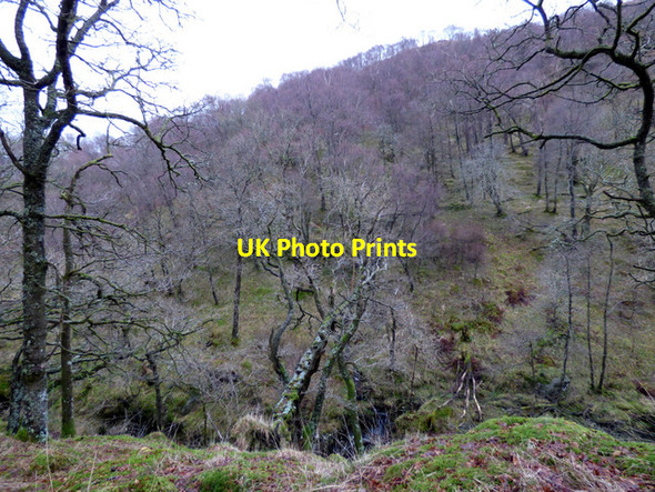 Photo 6"x4" Glen Douglas Inverbeg c2015
