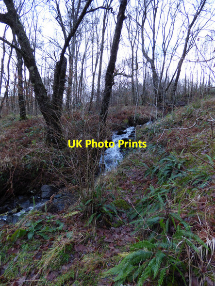 Photo 6"x4" Stream at Falls of Falloch Inverarnan c2015