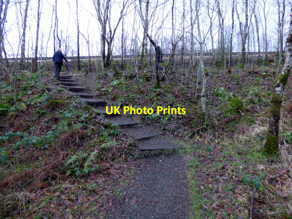 Photo 6"x4" Path at Falls of Falloch Inverarnan c2015