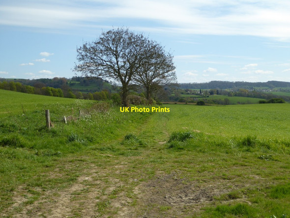 Photo 6"x4" Footpath to Wortley Wotton-under-Edge c2017