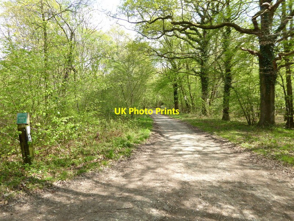 Photo 6"x4" Private track goes eastwards from Standinghall Lane Worth Abbey c2017