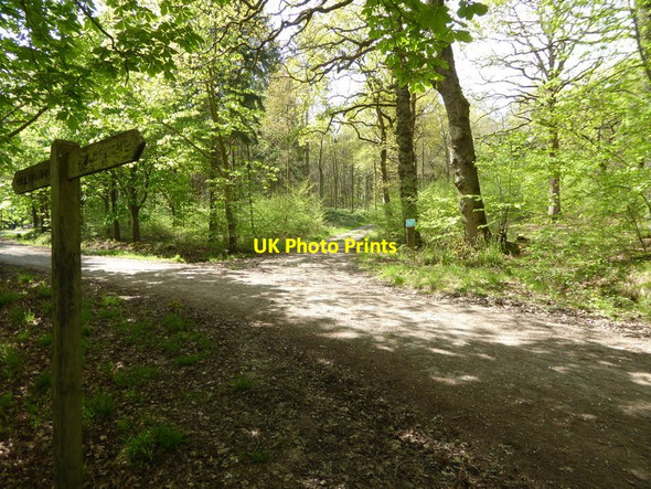 Photo 6"x4" Private track goes westwards from Standinghall Lane Worth Abbey c2017