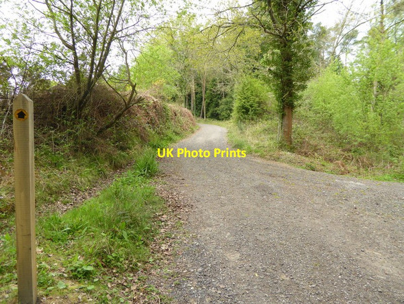 Photo 6"x4" Footpath goes north to Worth Abbey and School Balcombe Lane c2017