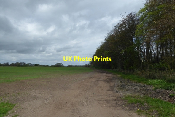 Photo 6"x4" Farmland beside Rossmoor Drain Melbourne\/SE7544 c2017