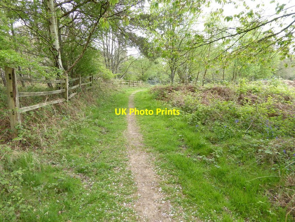 Photo 6"x4" Footpath between Worth Abbey and School and Back Lane Balcombe Lane c2017
