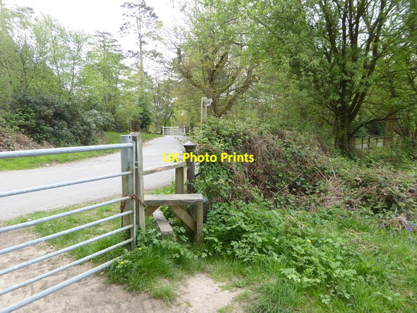 Photo 6"x4" Footpath reaches Back Lane Balcombe Lane c2017