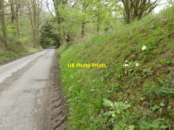 Photo 6"x4" Stoney Lane goes downhill into woodland Balcombe Lane c2017