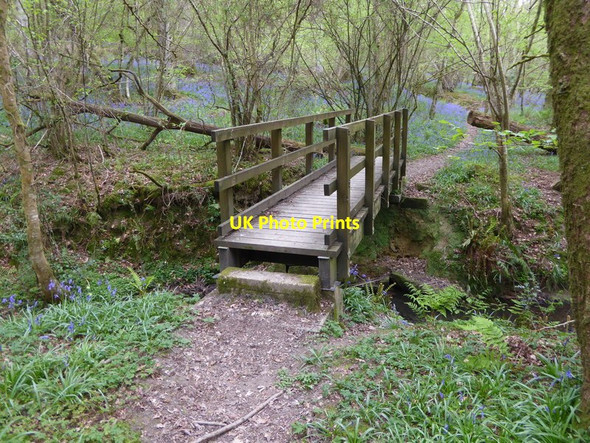 Photo 6"x4" Footbridge going eastwards in woodland west of Newhouse Farm Balcombe Lane c2017