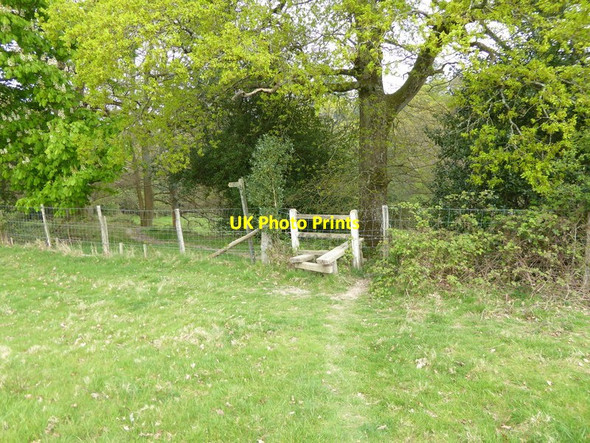 Photo 6"x4" Field path goes towards stile into woodland Turners Hill c2017