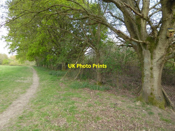 Photo 6"x4" Looking eastwards on the Sussex Border Path Charlwood\/TQ3934 c2017