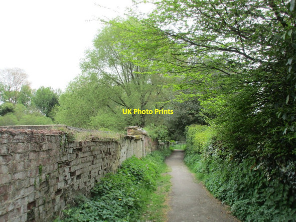 Photo 6"x4" Footpath from Church Street to the River Test Lynch Hill\/SU4648 c2017