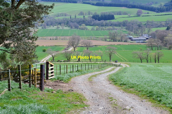 Photo 6"x4" Field track on Rubers Law Whitriggs\/NT5615 c2017
