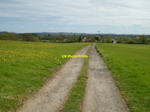 Photo 6"x4" Drive to Burrough Hill Farm Bradley Green\/ST7493 c2017