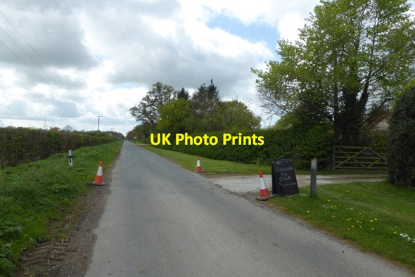 Photo 6"x4" Goslings for sale Melbourne\/SE7544 c2017