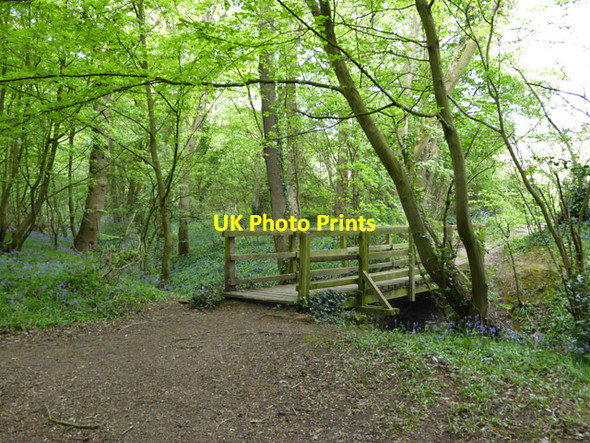 Photo 6"x4" Footbridge out of Martinhole Wood Dry Street c2017
