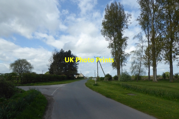 Photo 6"x4" Langrickgate Lane East Cottingwith c2017