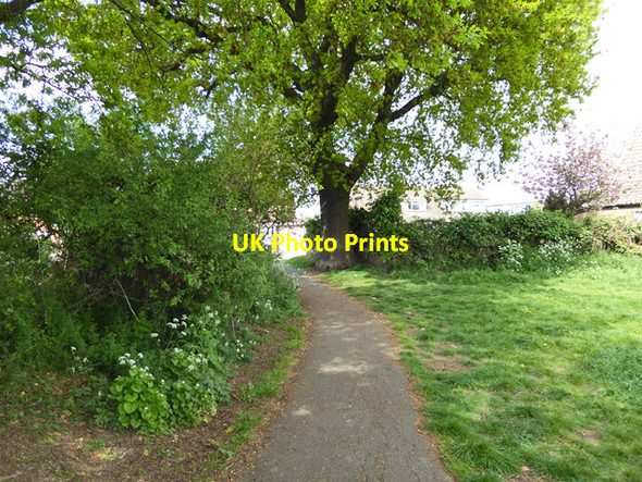 Photo 6"x4" Path out of Corringham recreation ground Corringham\/TQ7083 c2017