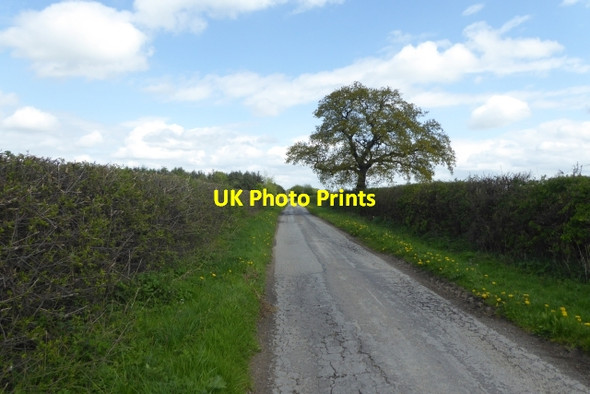 Photo 6"x4" Shortacre Lane Ellerton\/SE7039 c2017 P1