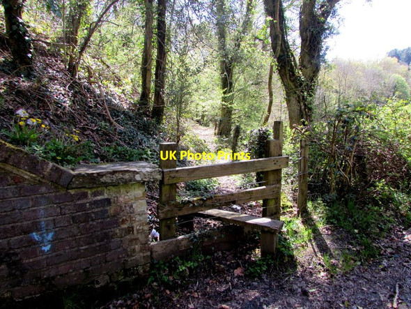 Photo 6"x4" Wooden stile to a track, Cynghordy, Carmarthenshire Rhandirmwyn c2017