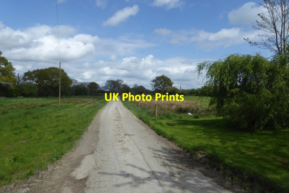 Photo 6"x4" Road to Blue Slates Farm Laytham c2017