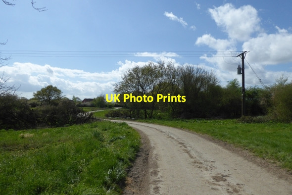 Photo 6"x4" Bowland Lane near Bottoms Drain Laytham c2017