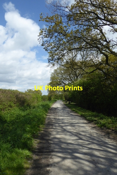 Photo 6"x4" Along Ruddings Lane Ellerton\/SE7039 c2017