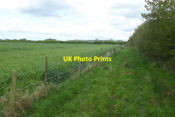 Photo 6"x4" Path to Laytham Laytham c2017