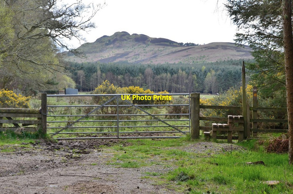 Photo 6"x4" Gate and stile, Borders Abbeys Way Bedrule c2017