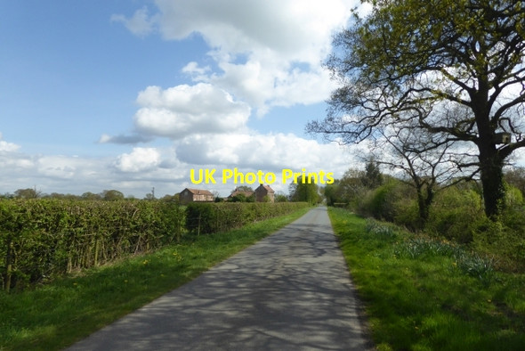 Photo 6"x4" Looking towards Laytham Green Farm Laytham c2017