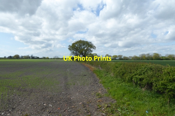 Photo 6"x4" Farmland beside the B1228 East Cottingwith c2017