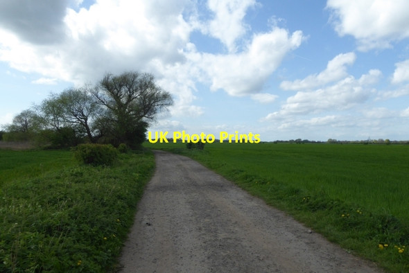 Photo 6"x4" Hag Lane at Poor's Closes East Cottingwith c2017