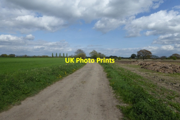 Photo 6"x4" Along Hag Lane East Cottingwith c2017
