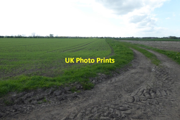 Photo 6"x4" Track off Cow Pasture Lane Ellerton\/SE7039 c2017