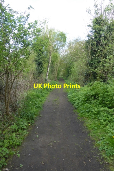 Photo 6"x4" Rail trail near Gunby Road Breighton c2017