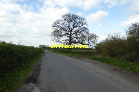 Photo 6"x4" Along Southfield Lane Foggathorpe c2017