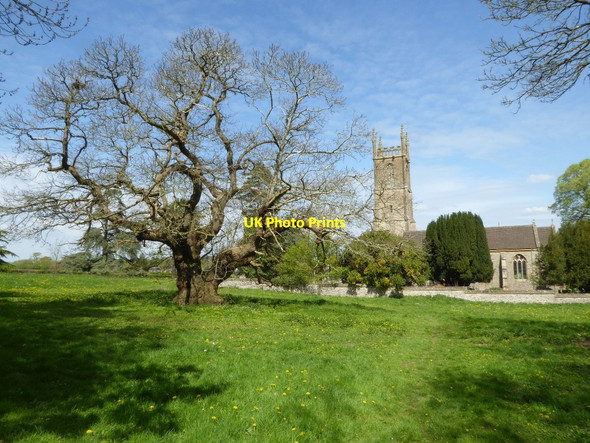 Photo 6"x4" Chestnut tree and Tortworth church Tortworth c2017