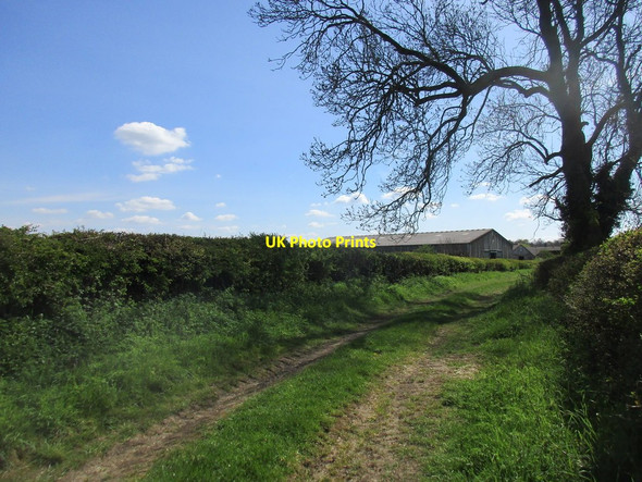 Photo 6"x4" Track to Abbey House and farm Biddlesden c2017
