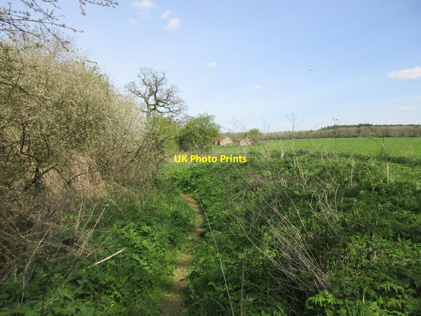 Photo 6"x4" Westbury Circular Ride near Castle Farm Biddlesden c2017